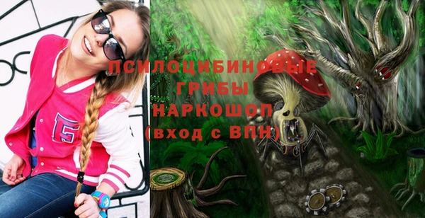a pvp Абинск