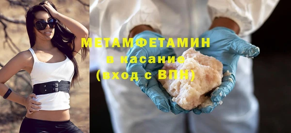 прущие грибы Наволоки