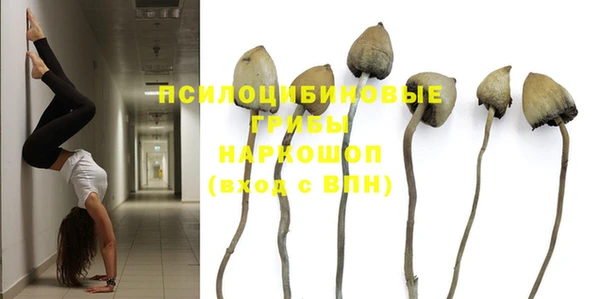 Альфа ПВП Абаза
