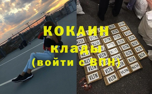 прущие грибы Наволоки