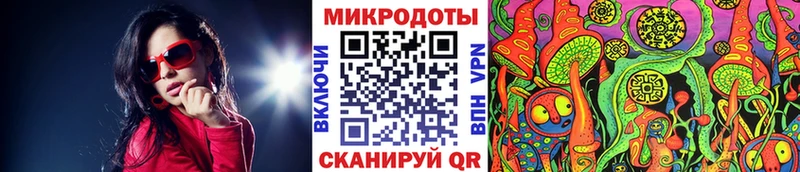 Галлюциногенные грибы Psilocybe  Уржум 